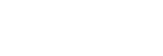 LightLion